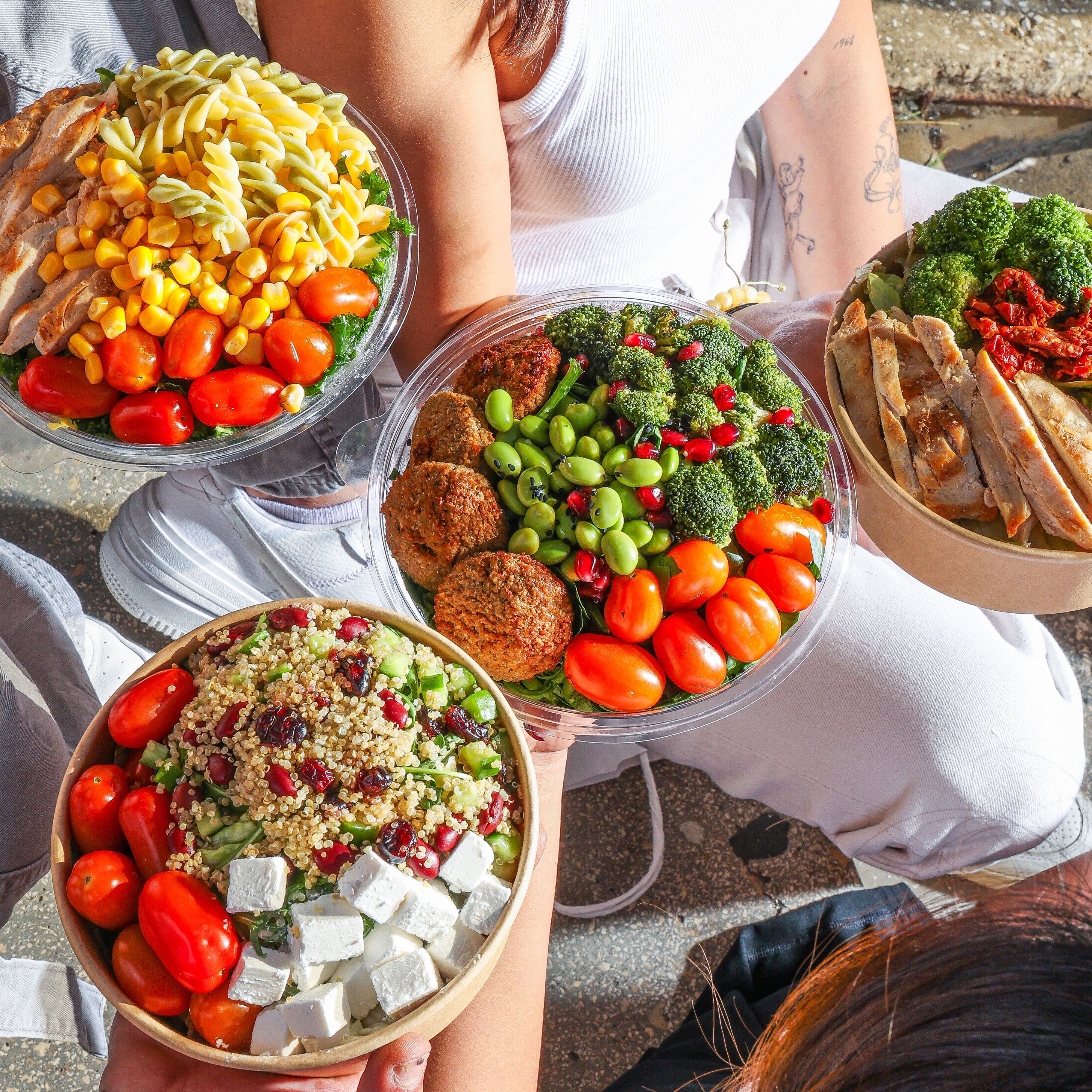 The High Protein Plan 